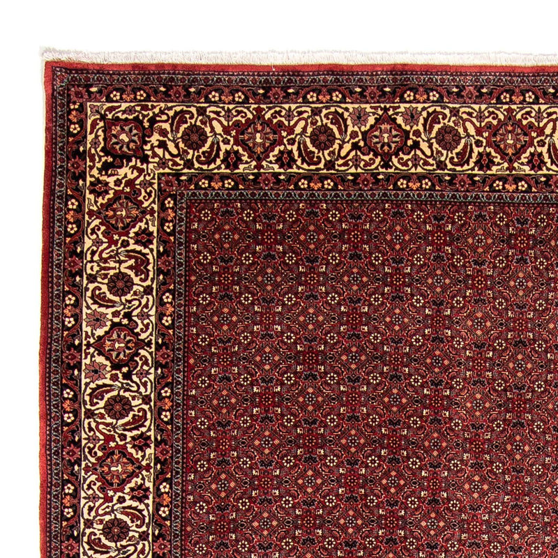 Perserteppich - Bidjar 338 x 258 cm