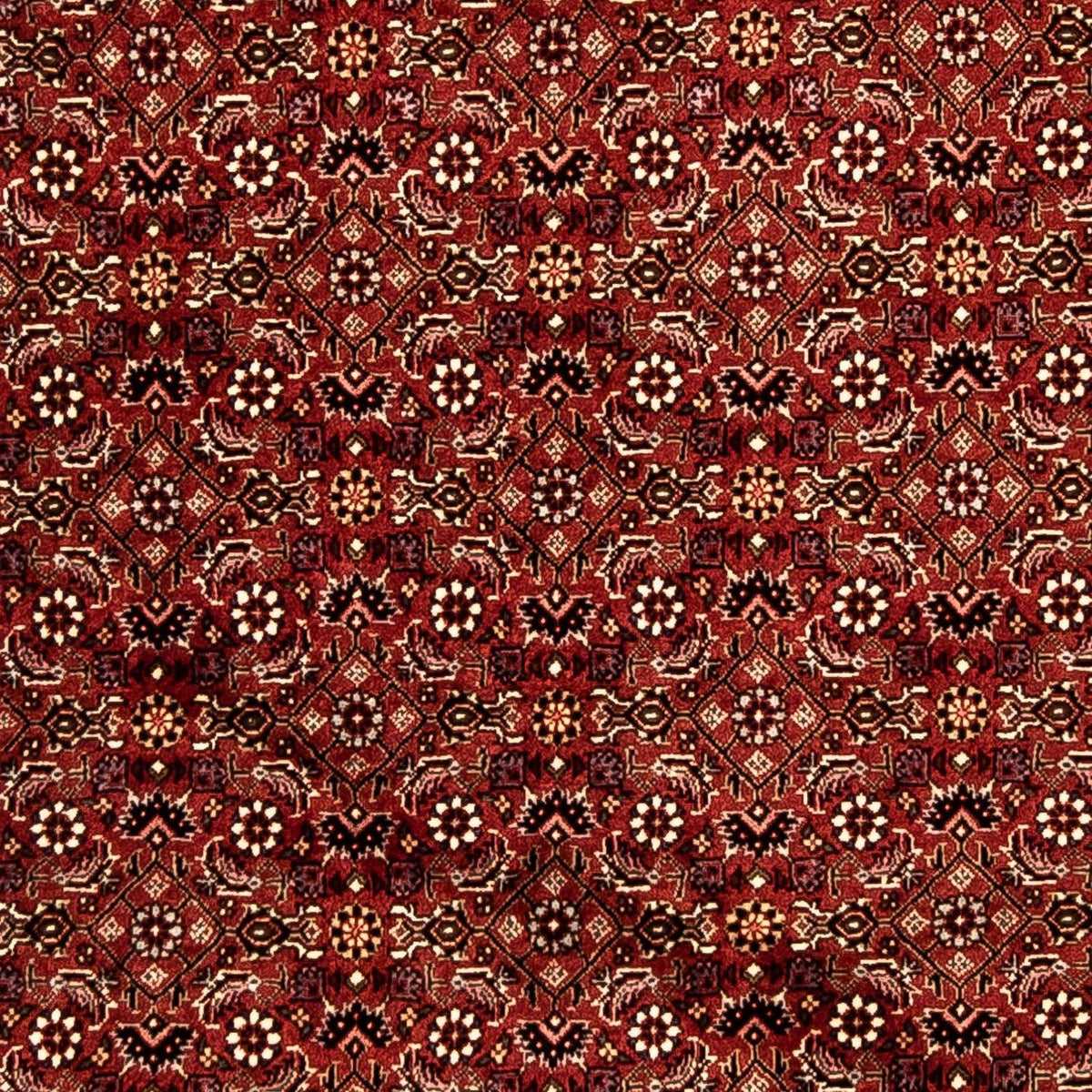 Perserteppich - Bidjar 288 x 85 cm
