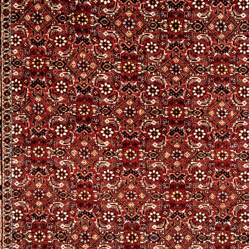 Perserteppich - Bidjar 298 x 80 cm