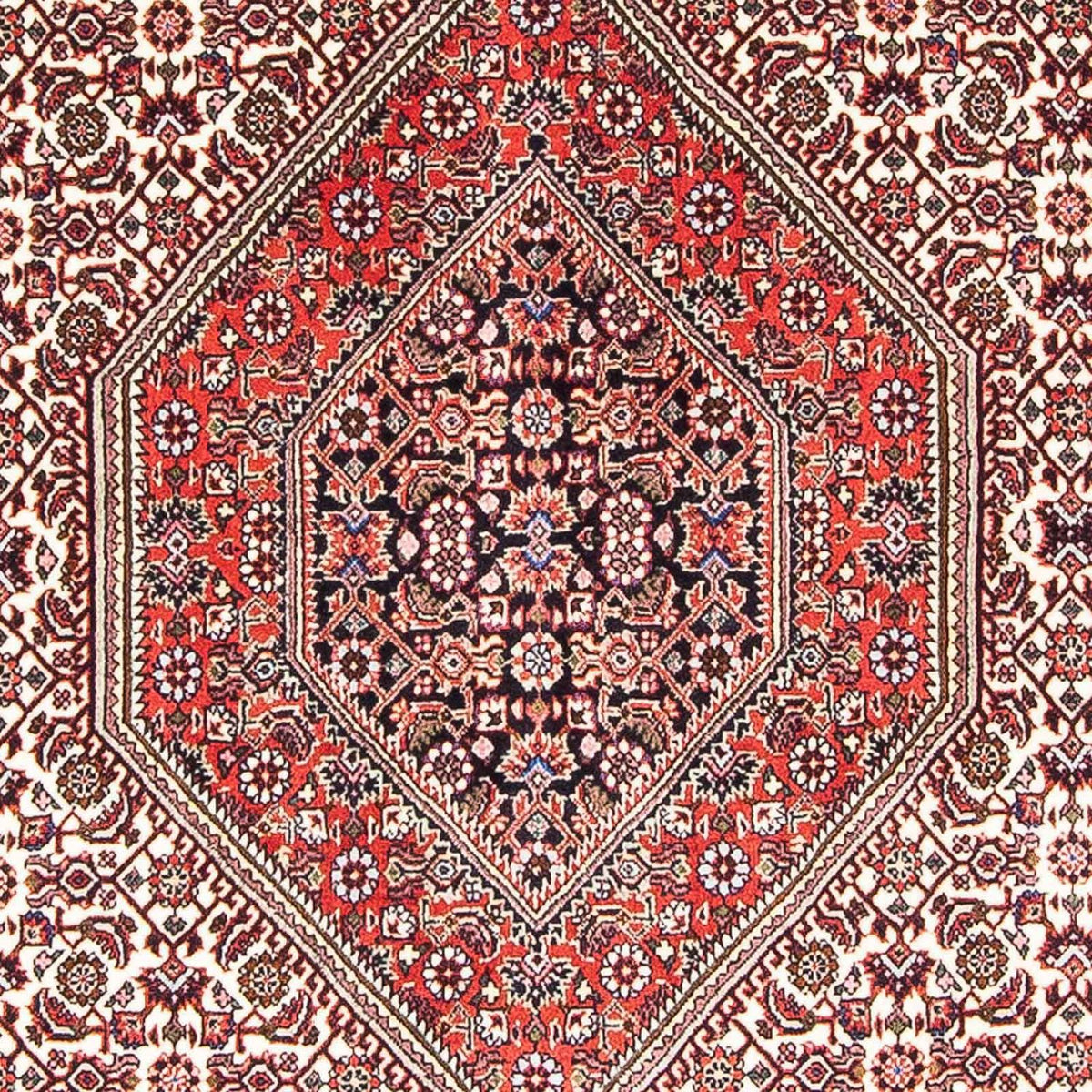 Perserteppich - Bidjar - Royal 173 x 107 cm