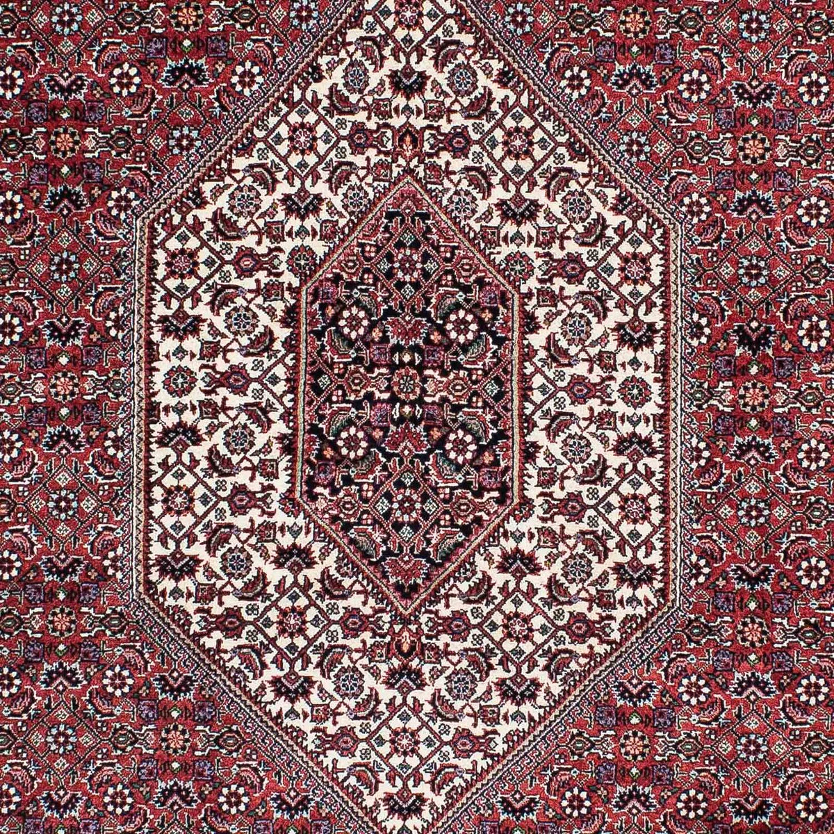 Perserteppich - Bidjar - Royal 200 x 130 cm