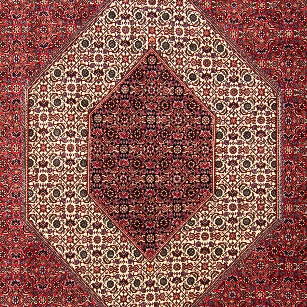 Perserteppich - Bidjar 304 x 255 cm