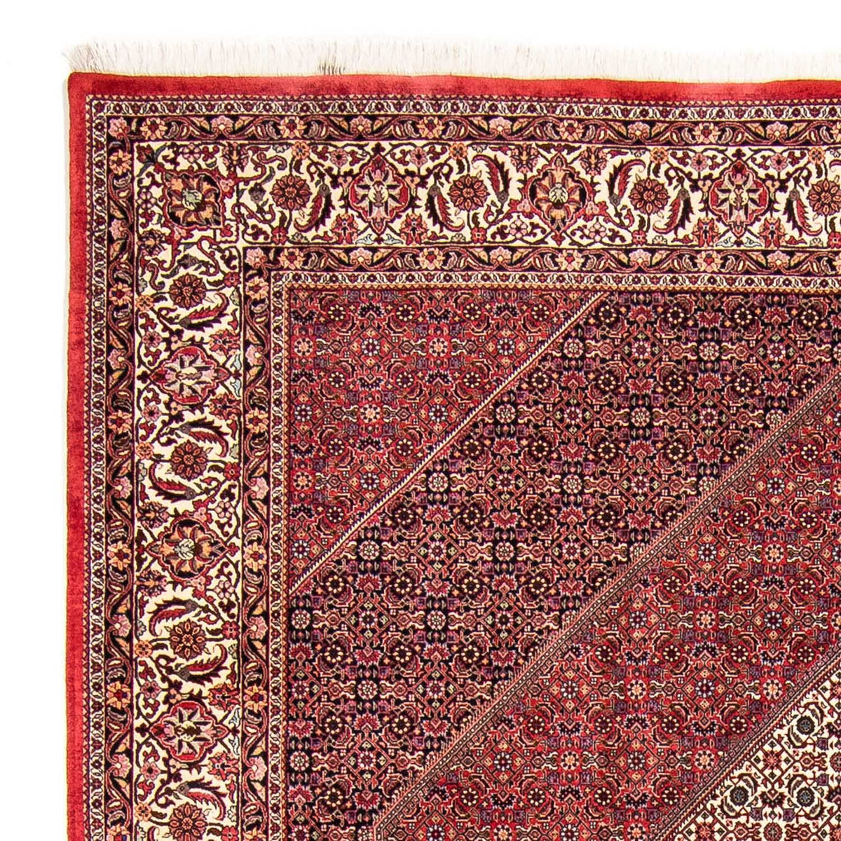 Bidjar Tappeto 255x304cm - Tappeto persiano - rosso scuro