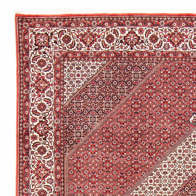 Perserteppich - Bidjar 312 x 256 cm