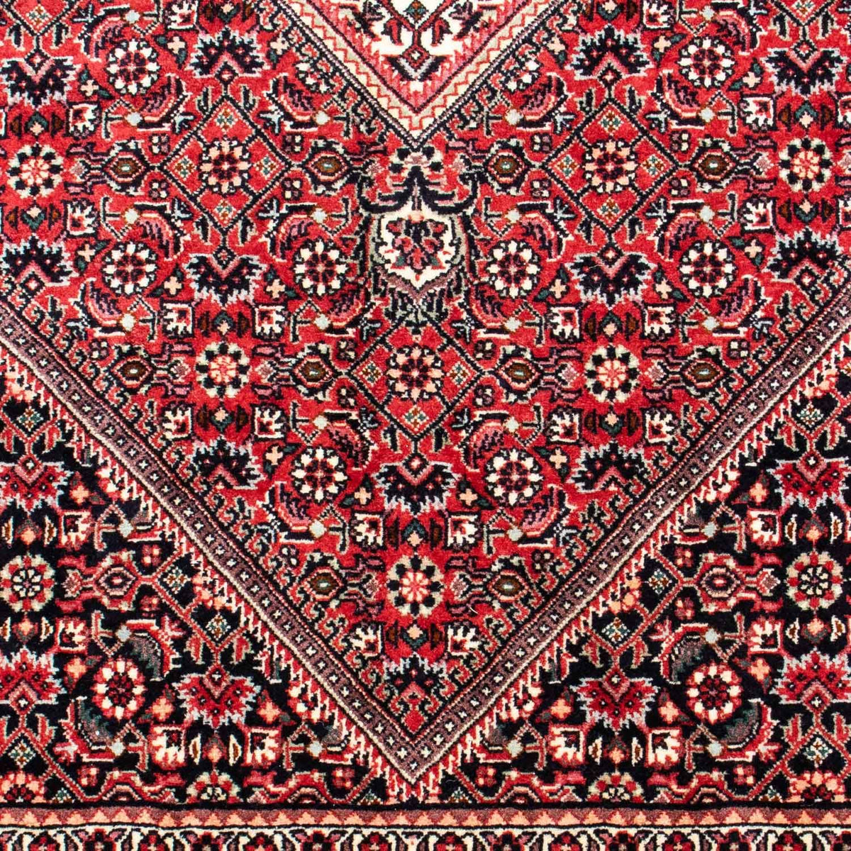 Perserteppich - Bidjar 250 x 171 cm
