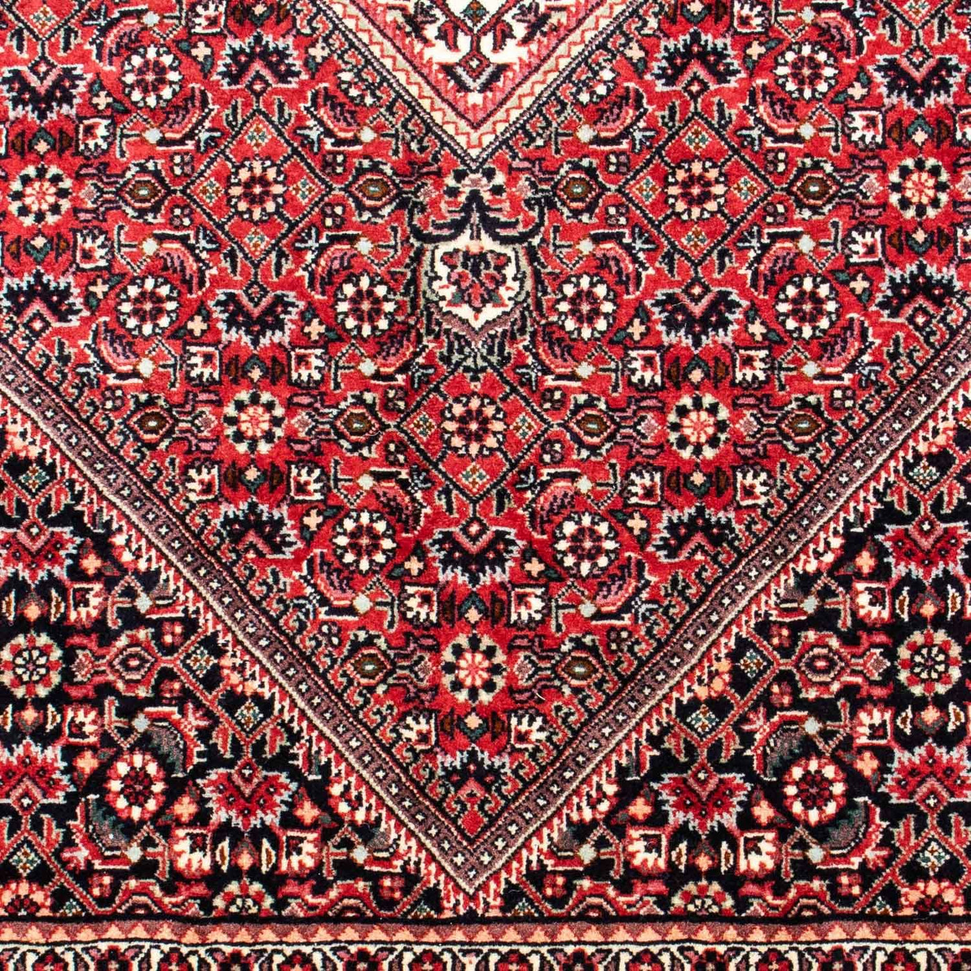 Bidjar Teppich 250x171cm - Perserteppich