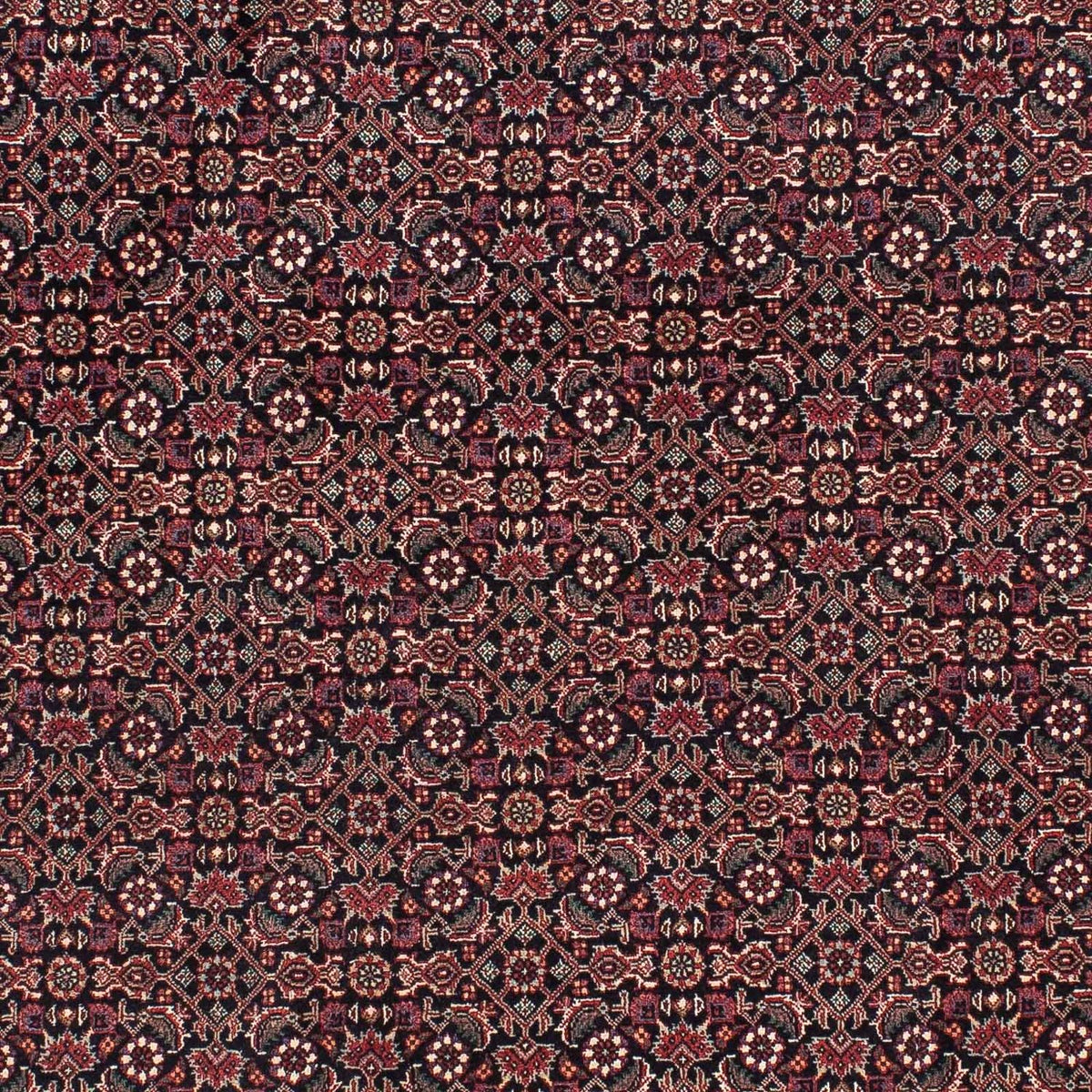 Perserteppich - Bidjar - Royal 182 x 108 cm