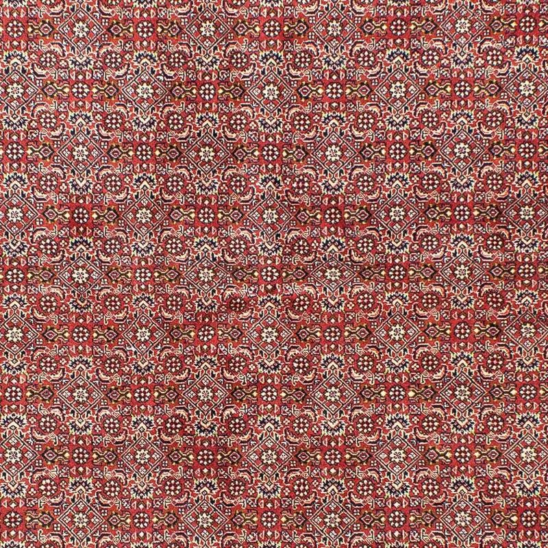 Perserteppich - Bidjar 245 x 170 cm