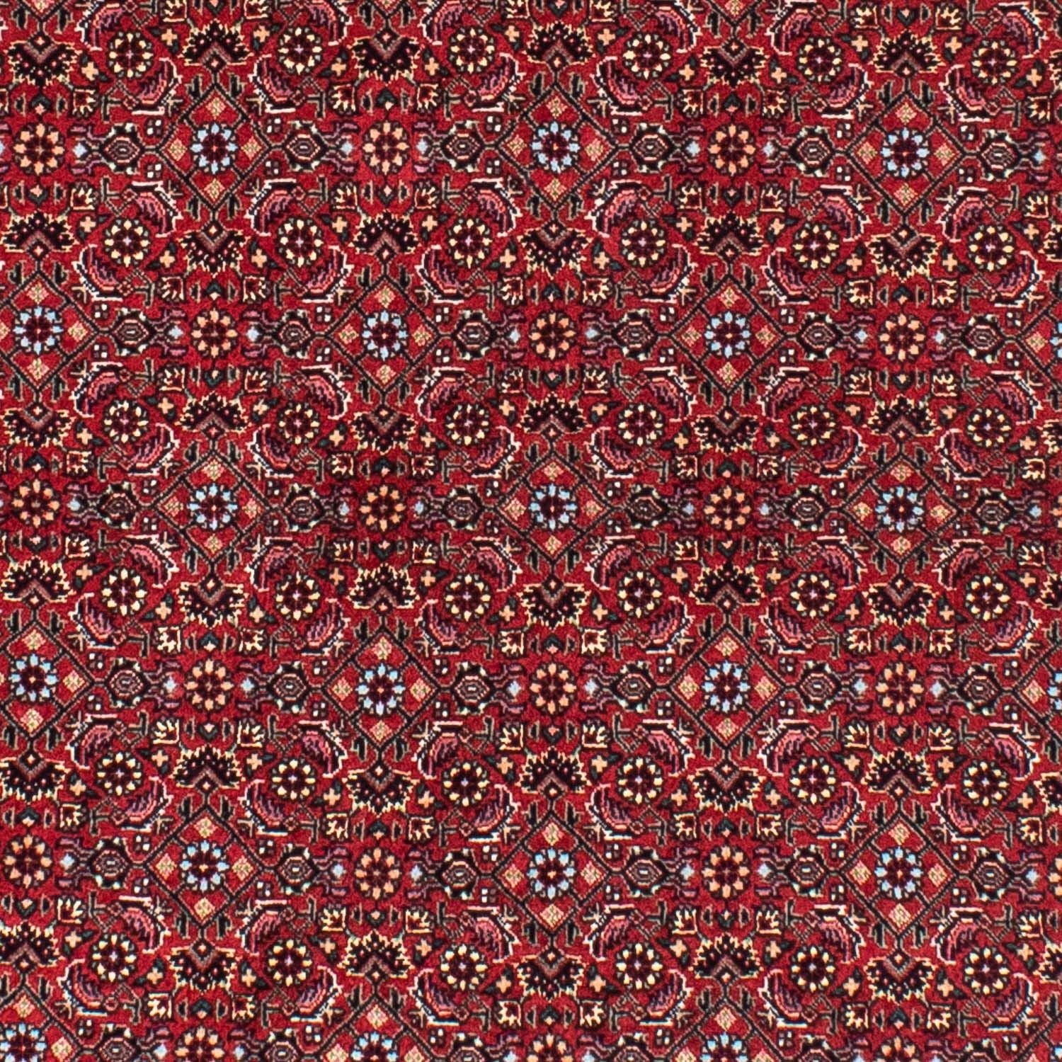 Perserteppich - Bidjar 150 x 150 cm