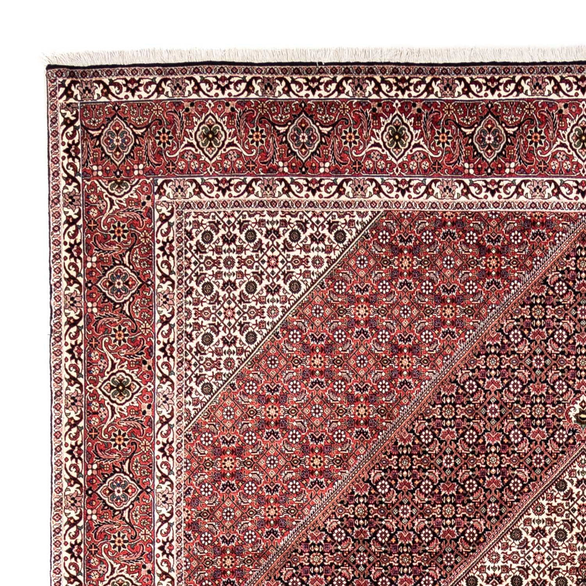 Bidjar - Takab Tapis 250x353cm - Tapis persan