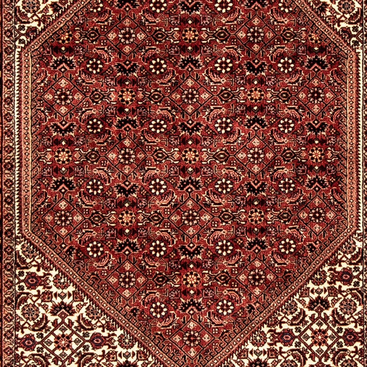 Perserteppich - Bidjar 281 x 80 cm