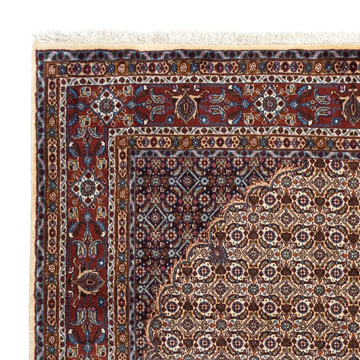 Moud Tappeto 166x235cm - Tappeto persiano