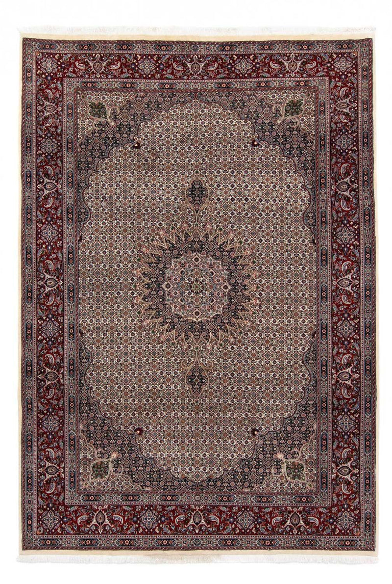 Perserteppich - Classic 296 x 203 cm