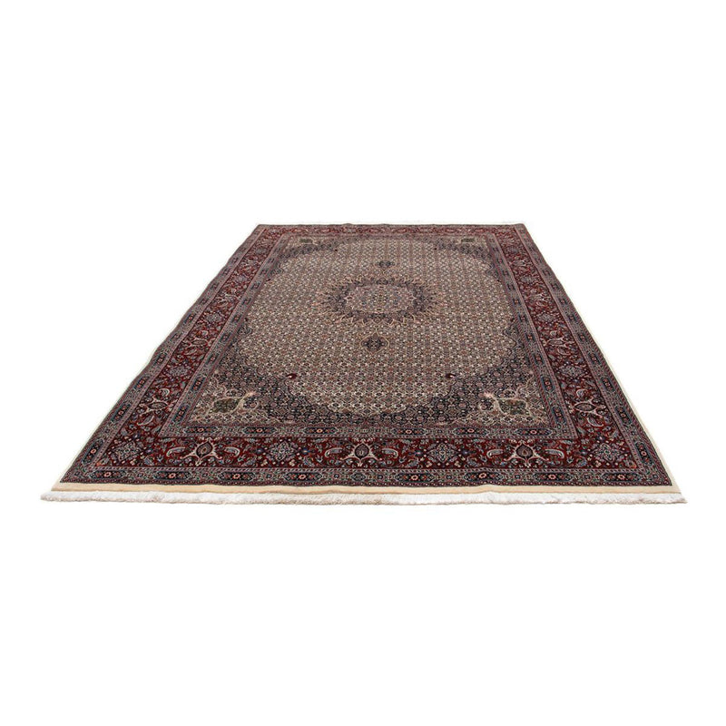 Perserteppich - Classic 296 x 203 cm