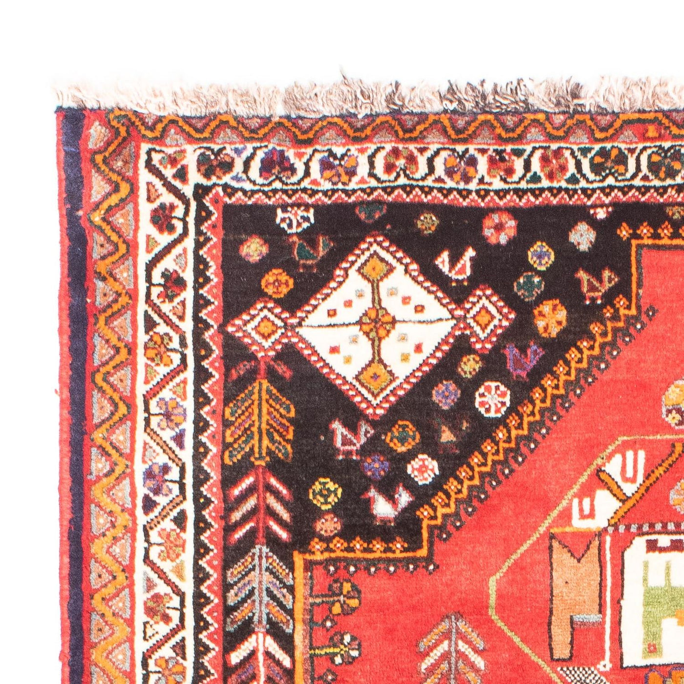 Qashqai Tapis 165x118cm - Tapis persan