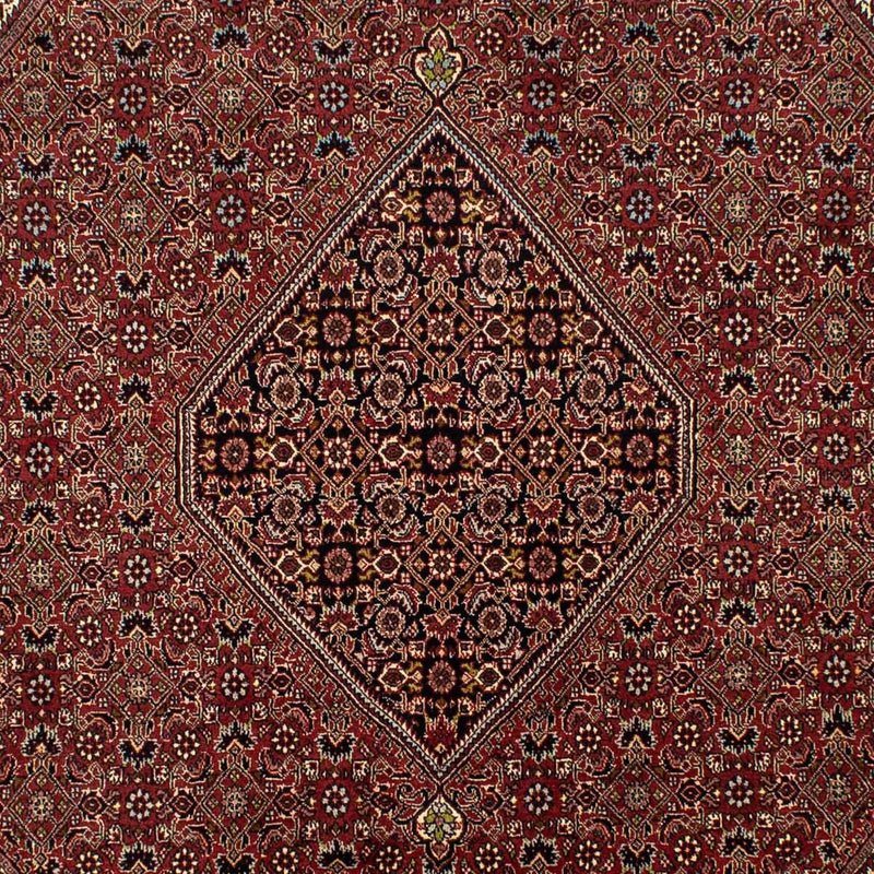 Perserteppich - Bidjar 295 x 200 cm