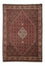 Perserteppich - Bidjar 298 x 200 cm - braun