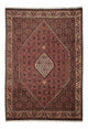 Perserteppich - Bidjar 298 x 200 cm - braun