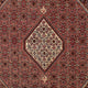 Perserteppich - Bidjar 298 x 200 cm - braun