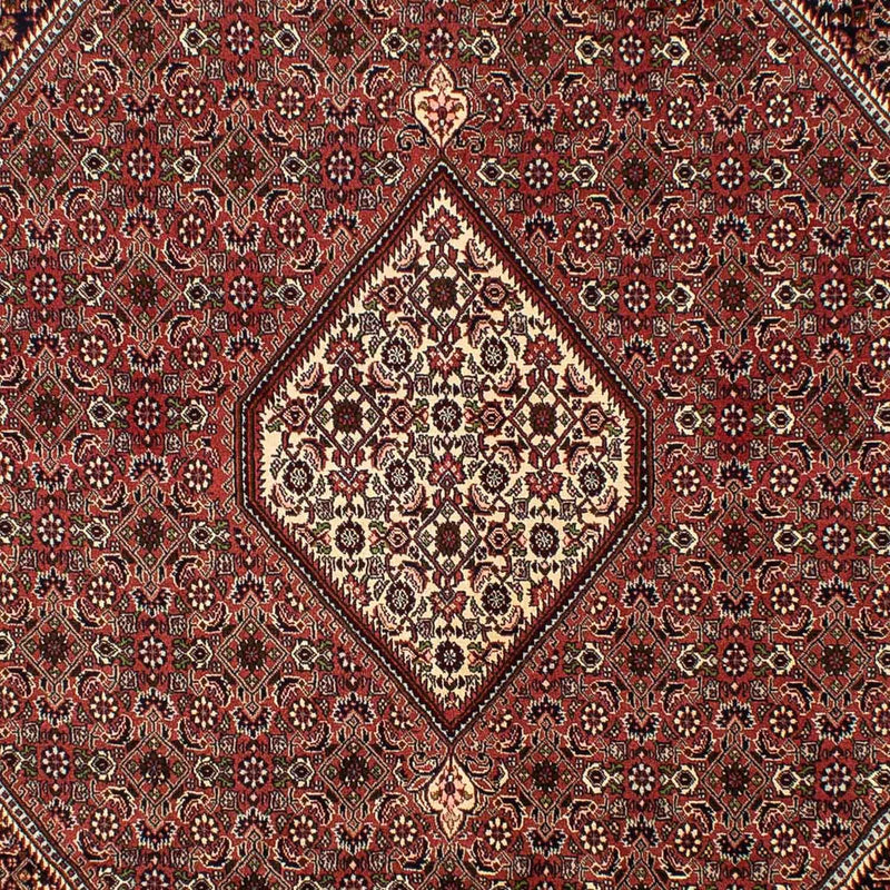 Perserteppich - Bidjar 298 x 200 cm - braun