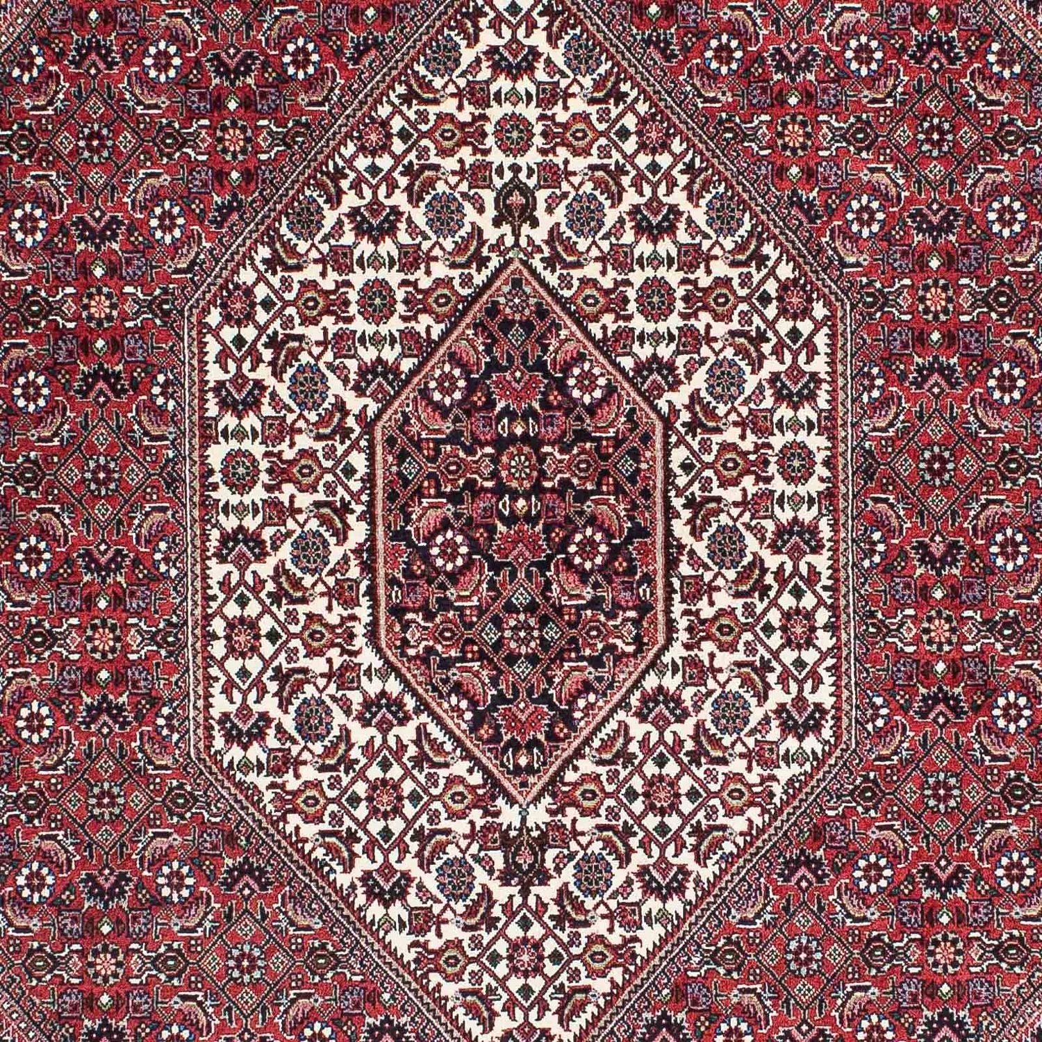 Perserteppich - Bidjar - Royal 208 x 132 cm