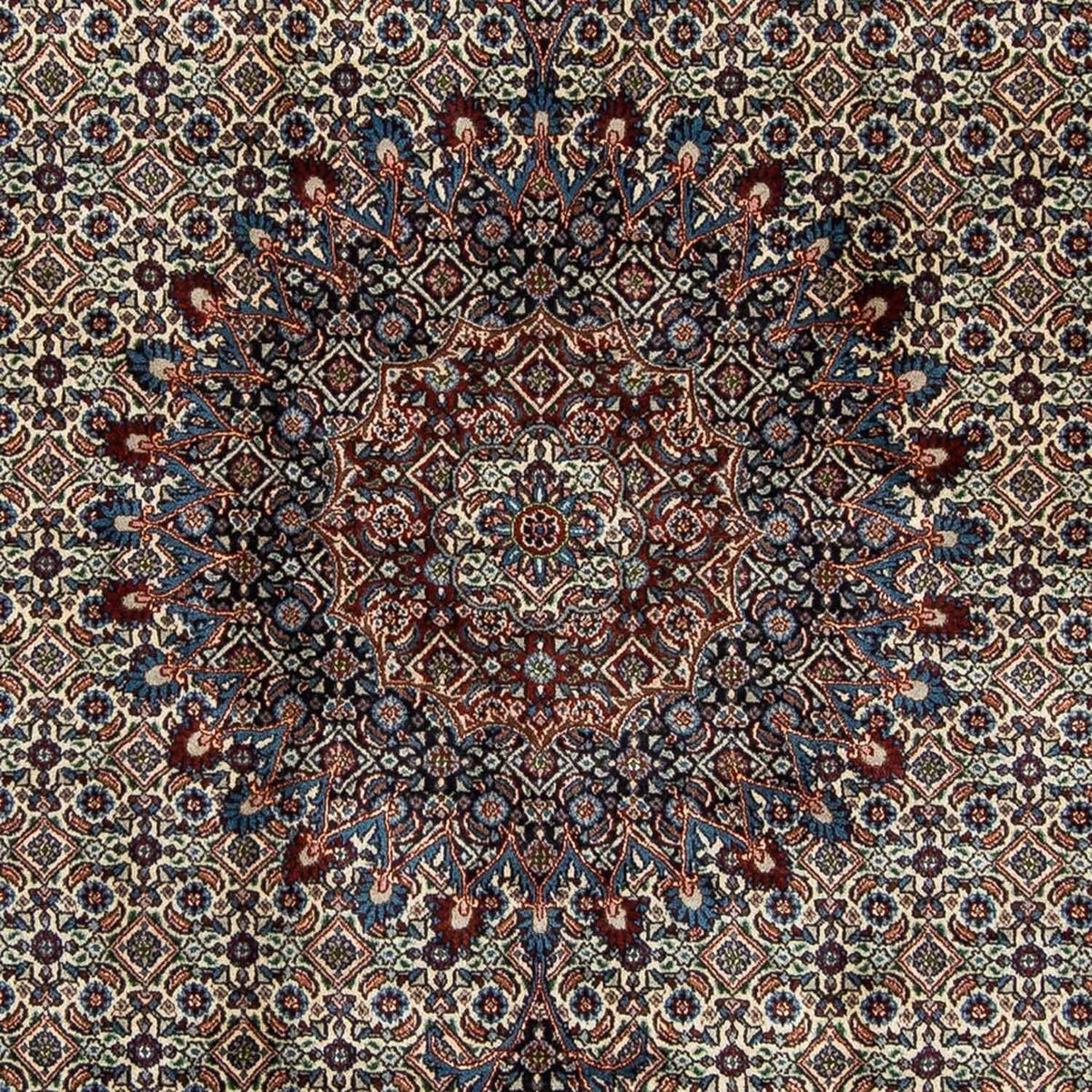 Perserteppich - Classic 277 x 197 cm