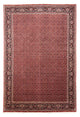 Bidjar Teppich 350x245cm - Perserteppich