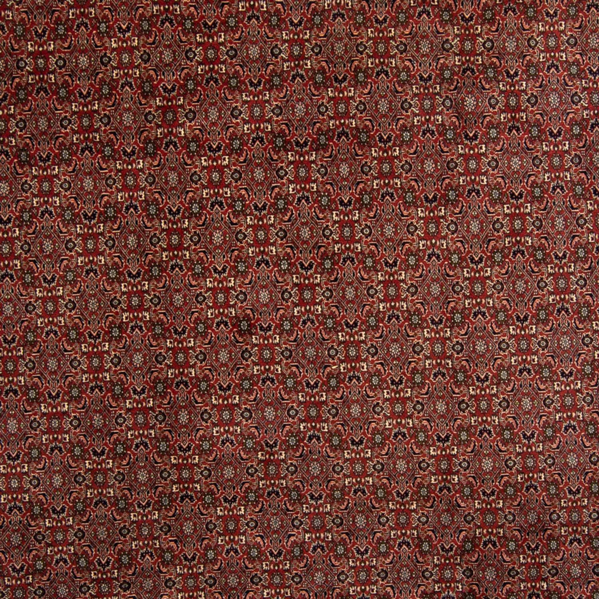 Perserteppich - Bidjar 342 x 244 cm