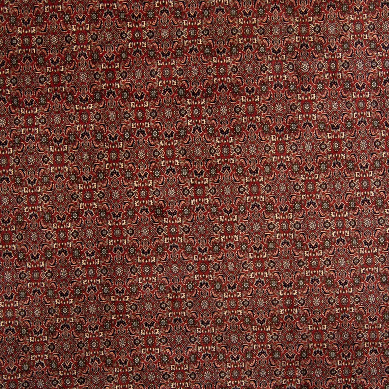 Perserteppich - Bidjar 342 x 244 cm