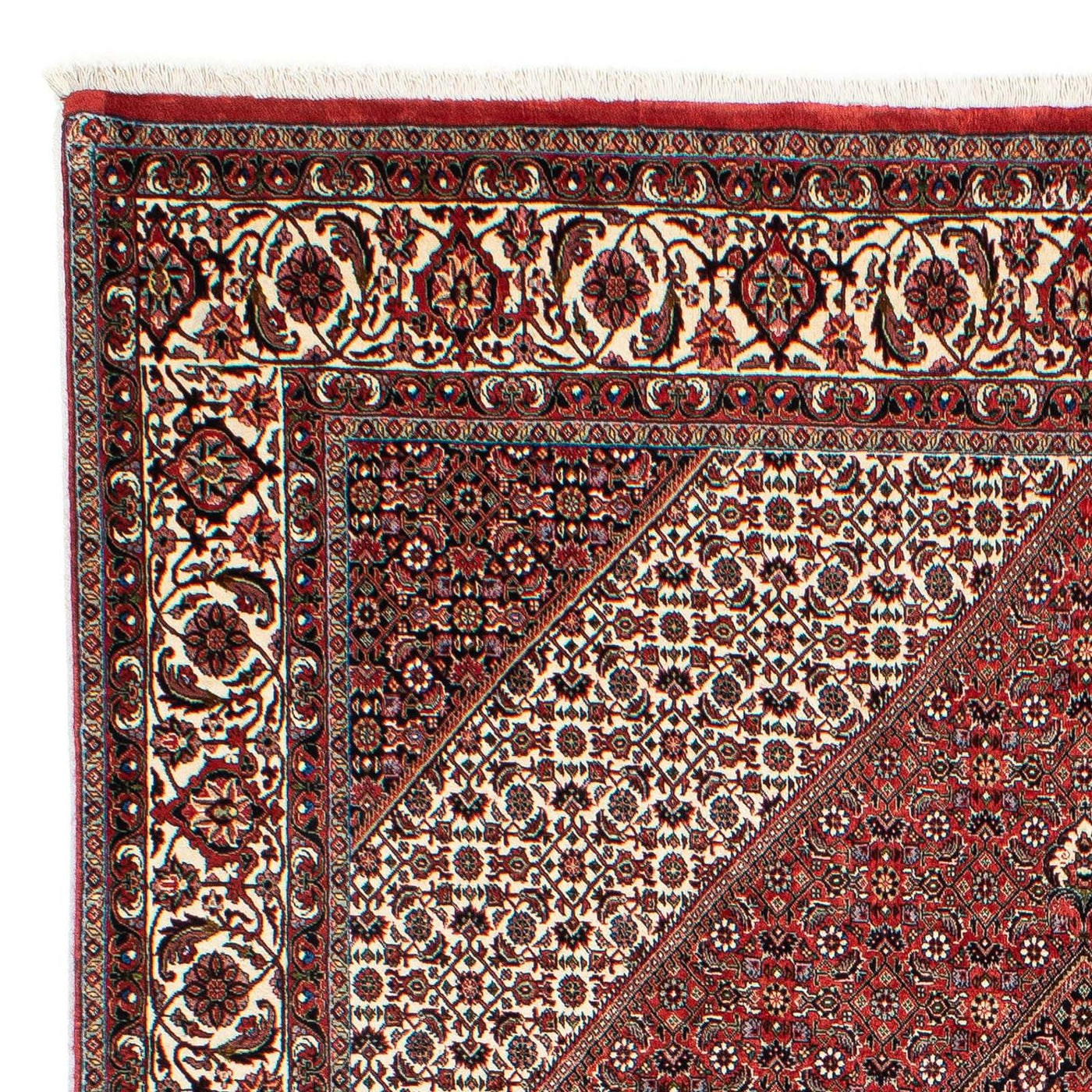 Tapis de Bidjar Tapis 294x204cm - Tapis persan