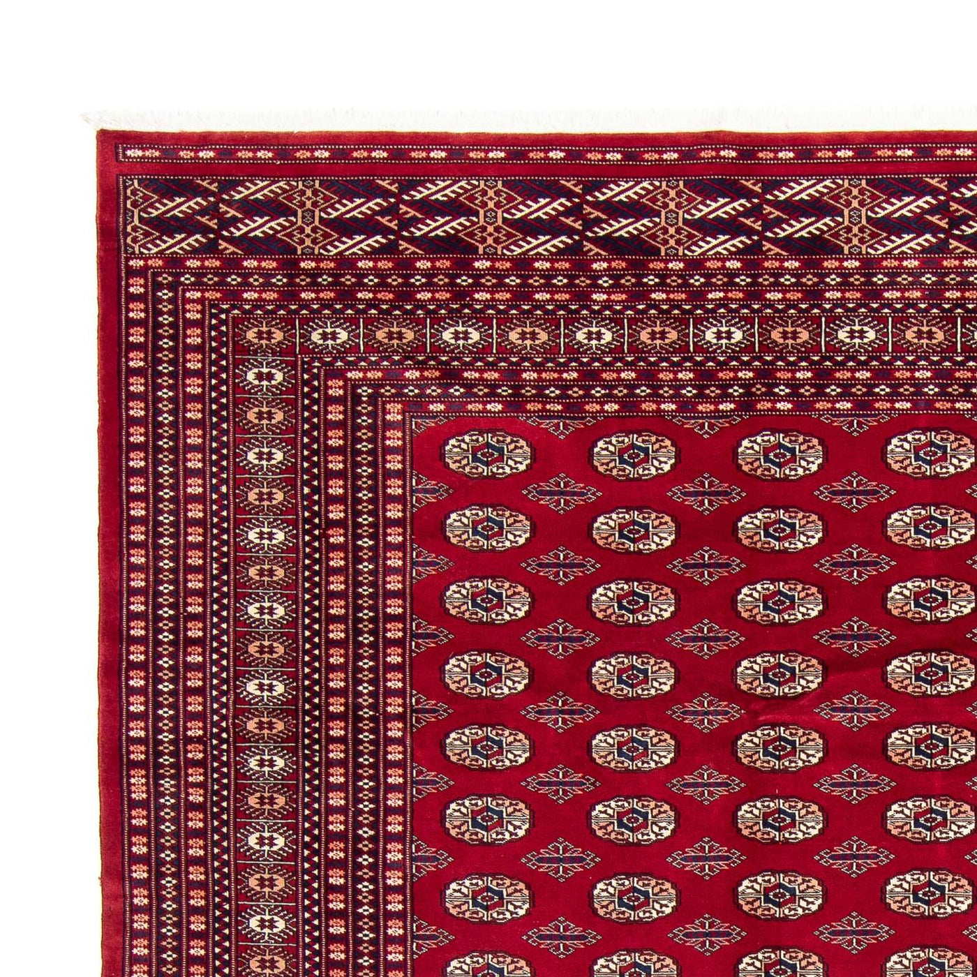 Buchara Teppich 303x253cm - Orientteppich