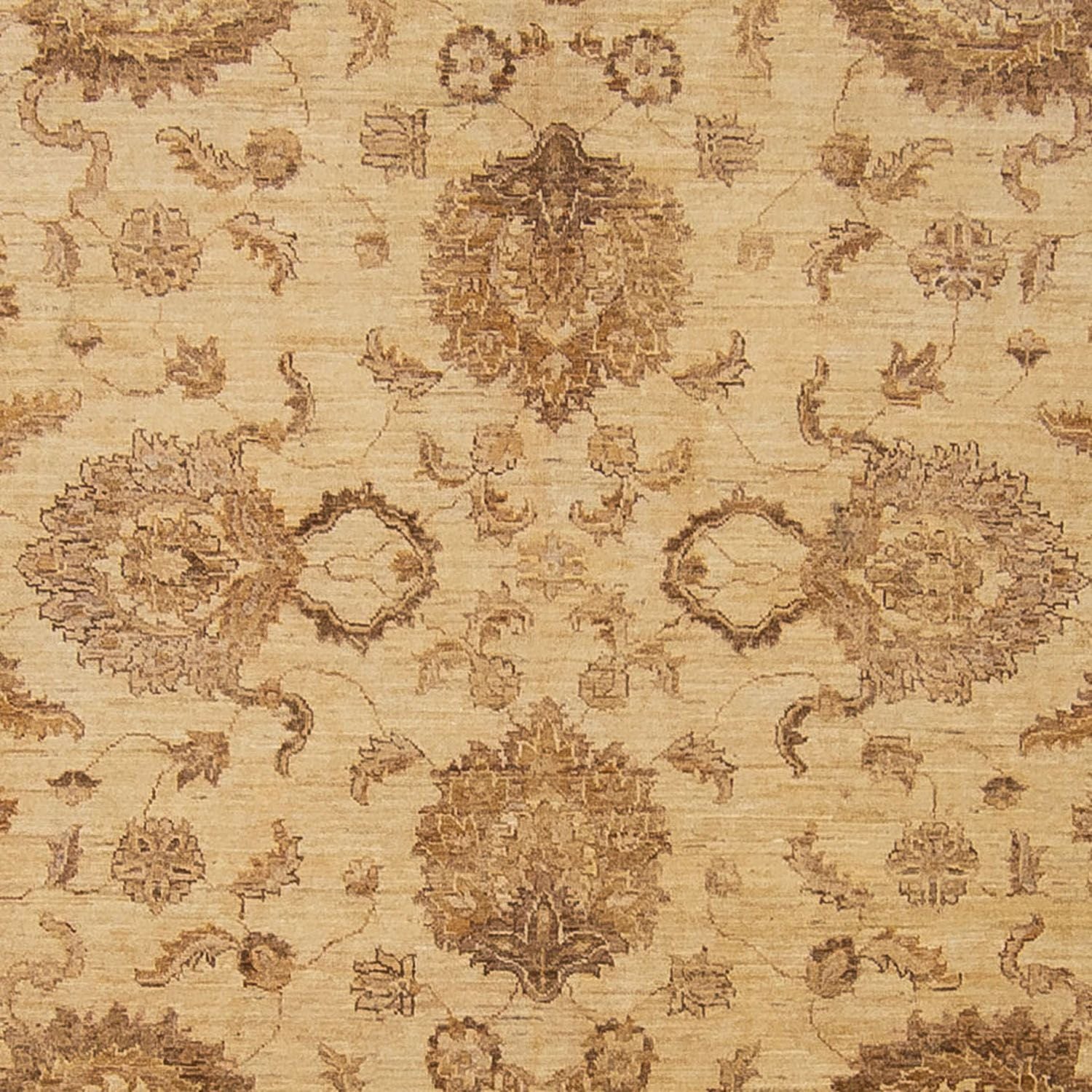 Ziegler Teppich 296 x 238 cm