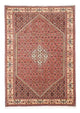 Perserteppich - Bidjar 252 x 173 cm
