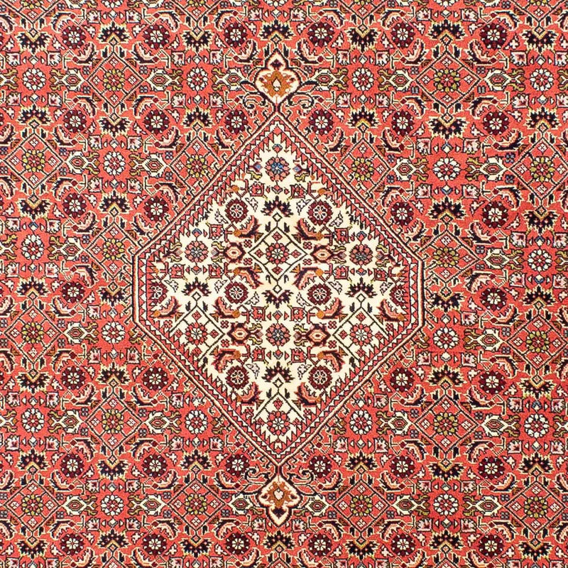 Perserteppich - Bidjar 252 x 173 cm