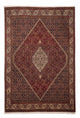 Perserteppich - Bidjar 296 x 201 cm
