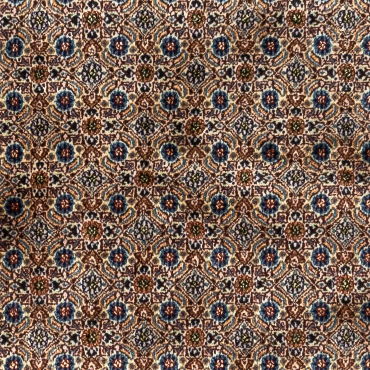 Perserteppich - Classic 251 x 160 cm
