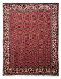 Tappeto Persero - Bidjar - 296 x 250 cm - rosso scuro