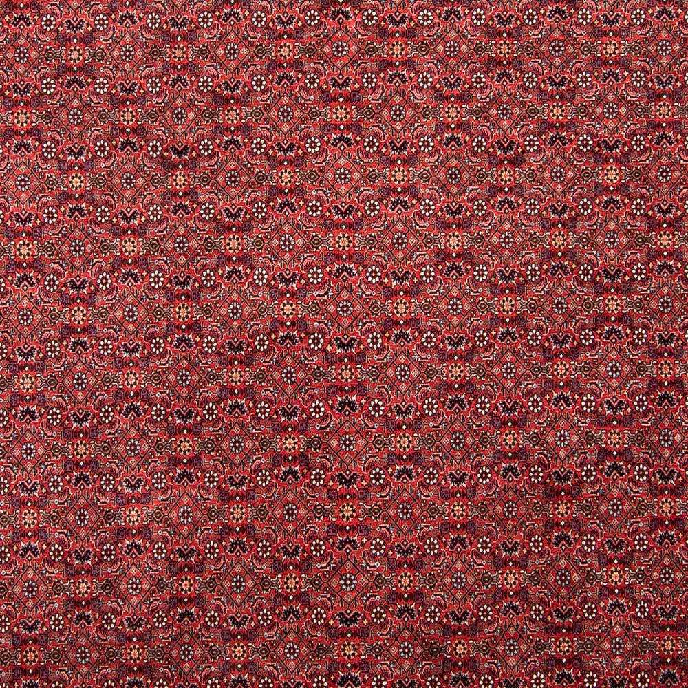 Perserteppich - Bidjar 296 x 250 cm