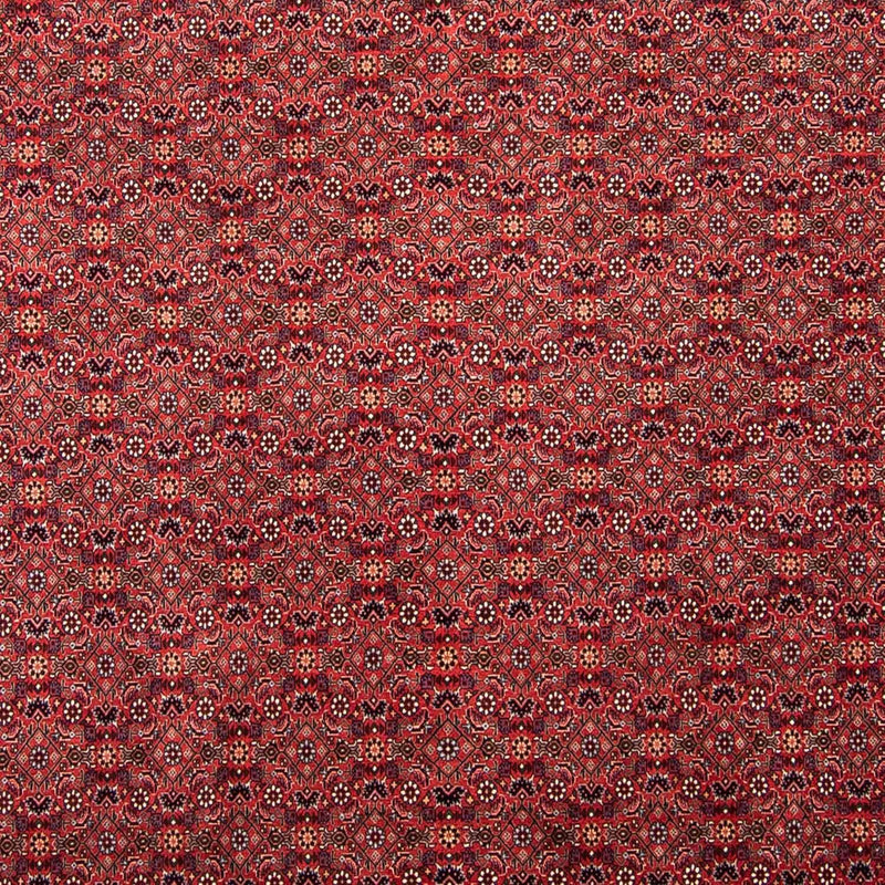 Perserteppich - Bidjar 296 x 250 cm