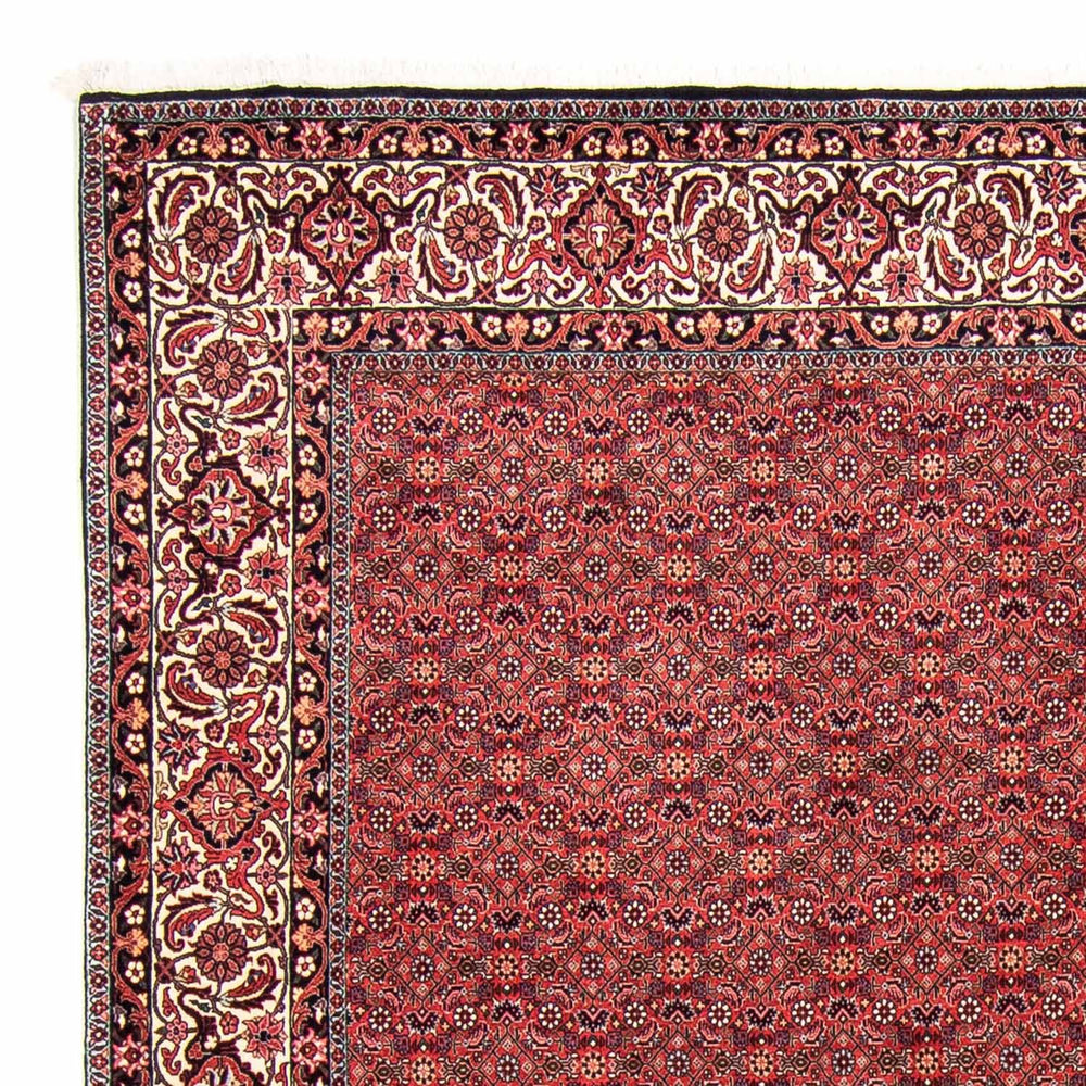 Perserteppich - Bidjar 296 x 250 cm