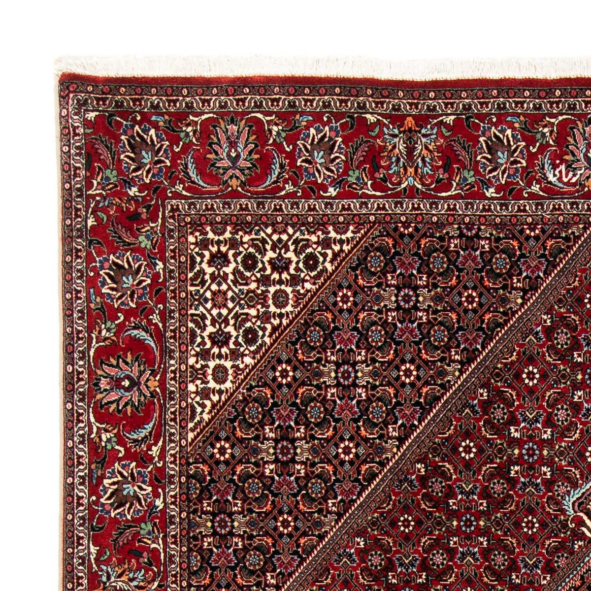 Bidjar Tappeto 170x235cm - Tappeto persiano - rosso scuro