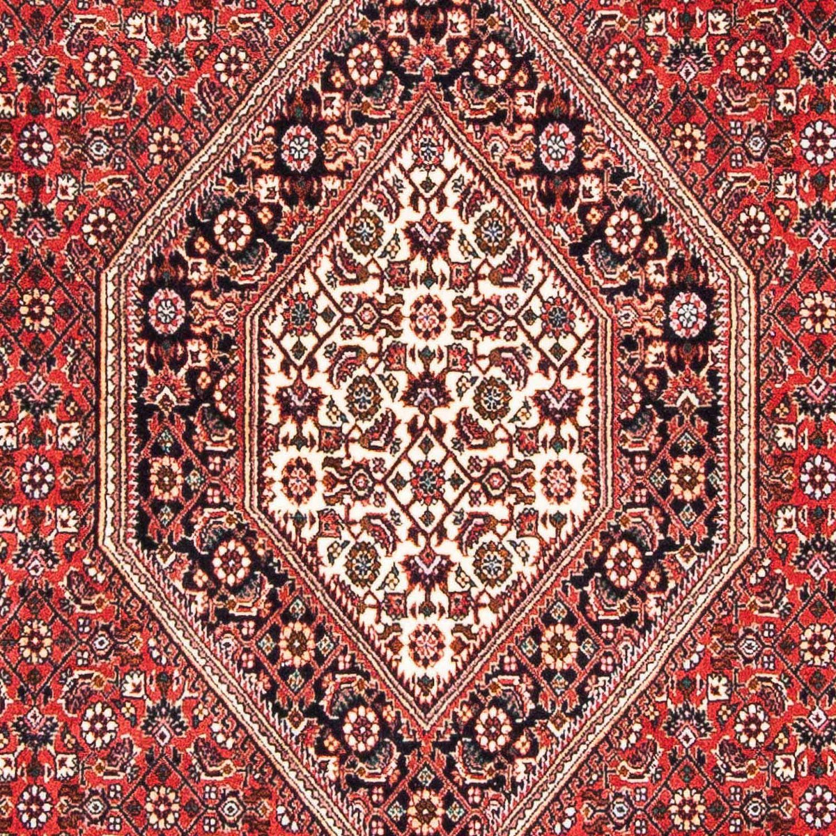 Perserteppich - Bidjar - Royal 181 x 110 cm
