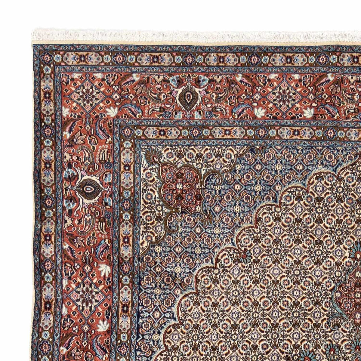 Tapis de Moud Tapis 252x340cm - Tapis persan