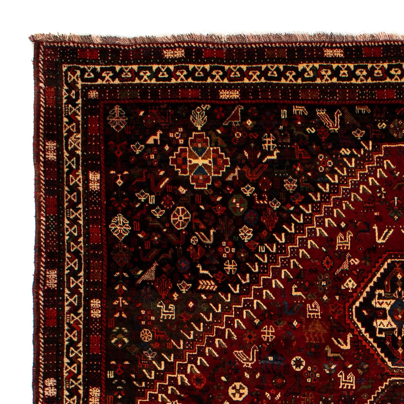 Shiraz Tappeto 310x228cm - Tappeto persiano