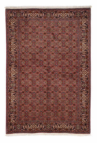 Tapis persan - Bidjar - 246 x 170 cm - rouge foncé