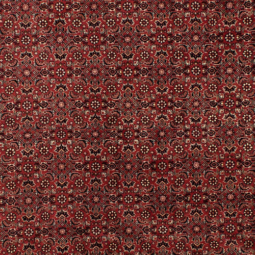 Perserteppich - Bidjar 297 x 197 cm