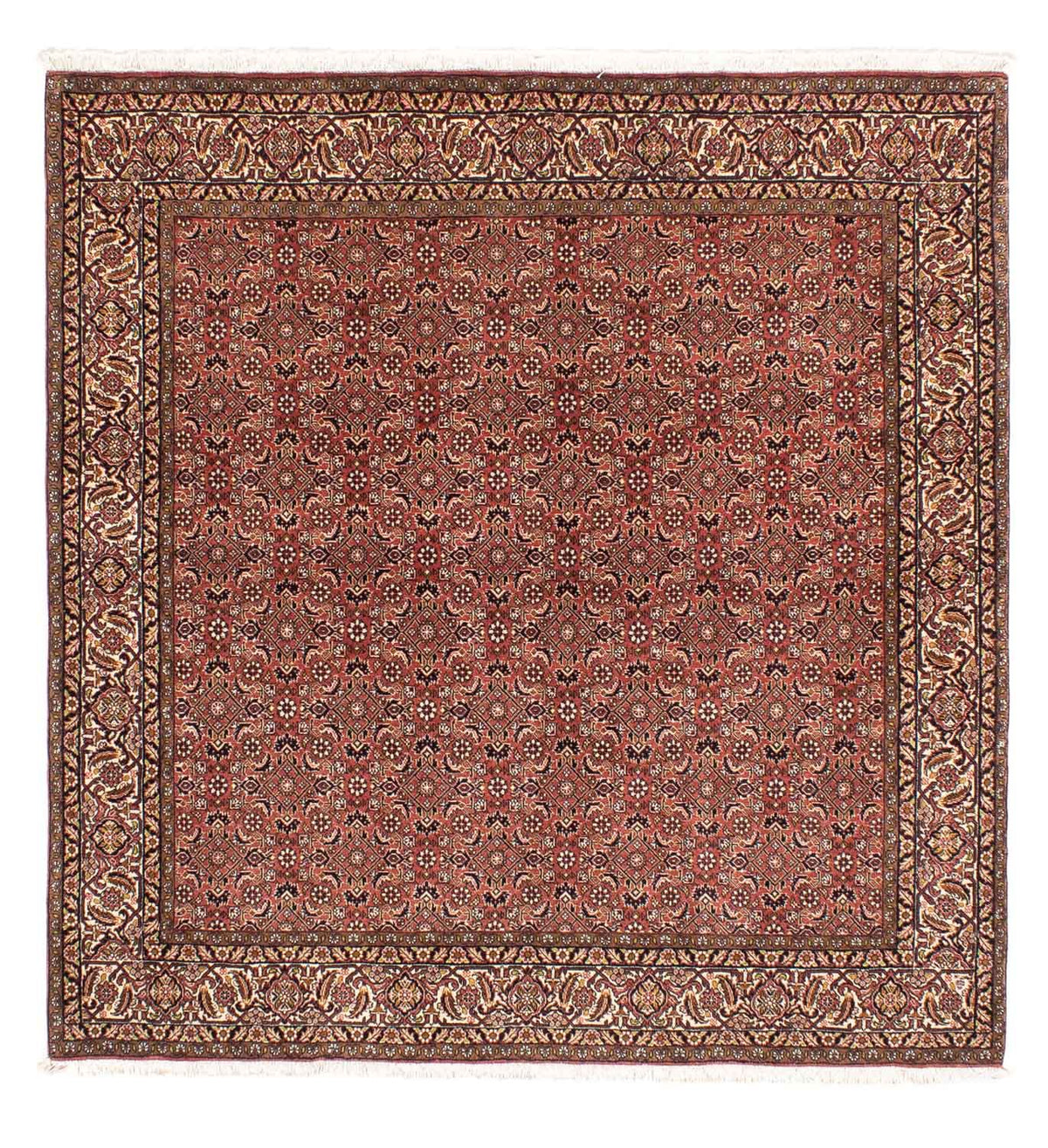 Perserteppich - Bidjar 200 x 195 cm