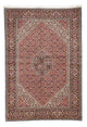 Perserteppich - Bidjar 250 x 168 cm