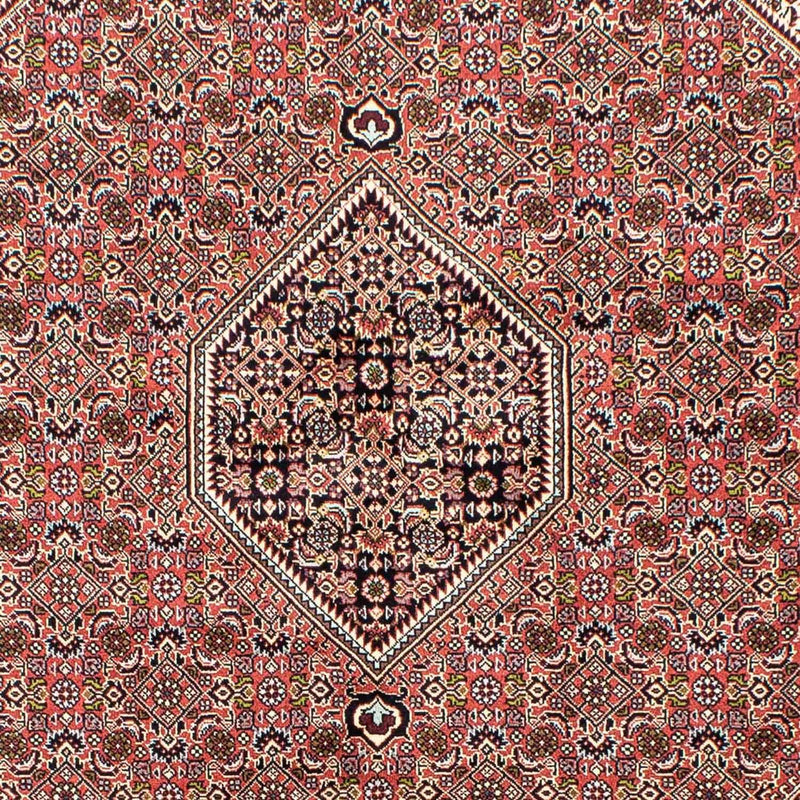 Perserteppich - Bidjar 250 x 168 cm