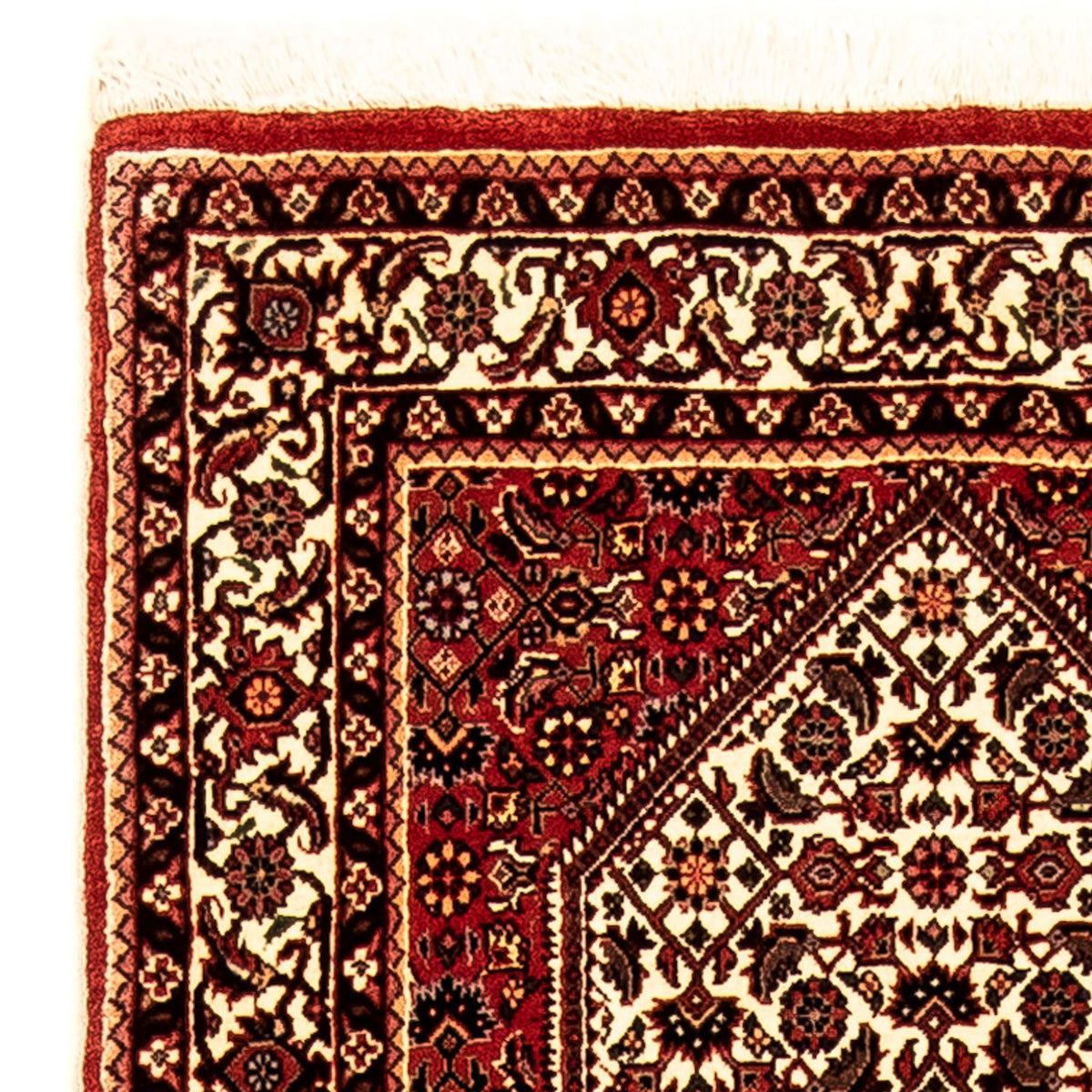 Bidjar Teppich 73x247cm - Perserteppich - mehrfarbig
